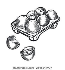 Ovos de galinha, óvulos, ovos rachados. Tudo é desenhado à mão em tinta e traduzido em vetor. A ilustração é adequada para impressão em alimentos, produtos agrícolas, em design de loja.