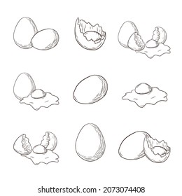 Chicken Eggs Engraving Illustrations Set. Collection of hand drawn vintage fresh farm eggs sketches for menu, stickers, recipe, logo, print, poster