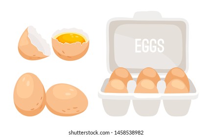 Chicken eggs. Fresh brown eggs in paper box vector illustration