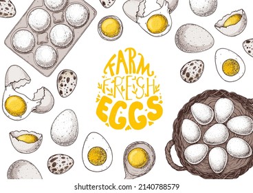 Chicken eggs hand drawn illustration. Farm eggs design template. Vector illustration. Healthy food. Package design elements. 