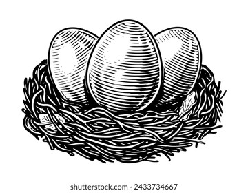 Chicken eggs in hay nest vector illustration. Organic farm products. Hand drawn sketch vintage