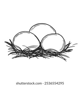 Chicken eggs in hay nest vector illustration. Organic farm products. Hand drawn sketch in vector