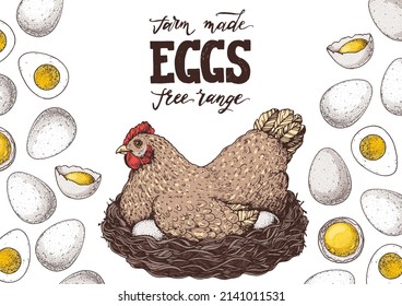 Chicken eggs. Hen sitting in the nest. Hand drawn illustration. Farm eggs design template. Vector illustration. Healthy food. Package design elements.