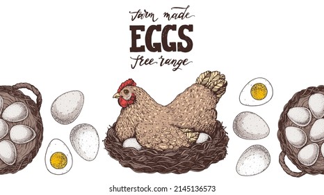 Chicken eggs. Hen sitting in the nest. Hand drawn illustration. Farm eggs design template. Vector illustration. Healthy food. Package design elements.