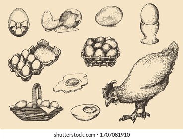 Chicken, eggs and hennery goods, hand drawn set in engraving style. Poultry farm products, vintage illustrations in vector.