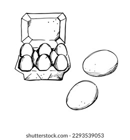Chicken eggs. Illustration of eggs in cardboard boxes, boiled and fresh. Hand drawn. Sketch style. Breakfast, organic farm concept. Poultry farming. Hand drawn vector illustration.Isolated elements