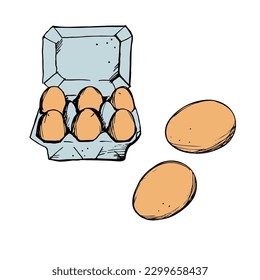 Chicken eggs. Illustration of eggs in cardboard boxes, boiled and fresh. Hand drawn. Sketch style. Breakfast, organic farm concept. Poultry farming. Hand drawn vector illustration.Isolated elements