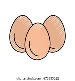 chicken eggs isolated icon