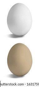 Chicken Eggs isolated on White Background. Vector illustration
