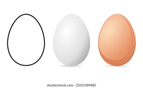 Chicken eggs isolated on white background