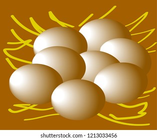 chicken eggs in the nest