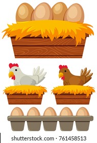 Chicken And Eggs In The Nest Illustration