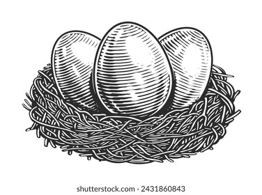 Chicken Eggs in nest. Organic farm products. Hand drawn sketch vintage vector illustration