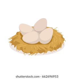 Chicken eggs in the nest, poultry breeding vector Illustration