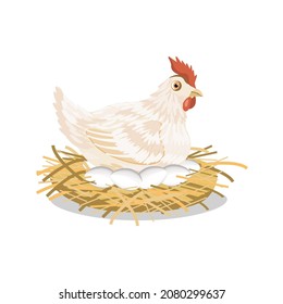 Chicken with eggs in the nest,isolated on a white background.Vector illustration can be used in textiles, postcards,agricultural designs.