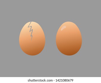 Chicken Eggs  on gray background.