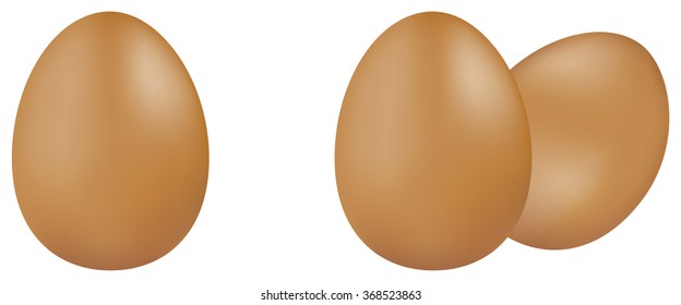 chicken eggs on transparent background