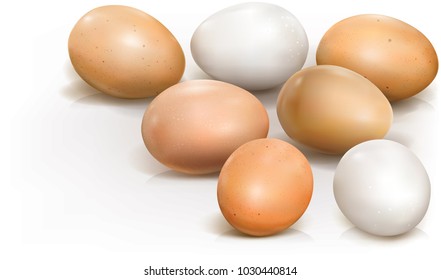 Chicken eggs on a white background. Vector illustration