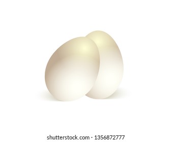 Chicken eggs on white background