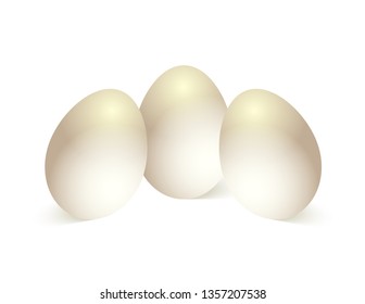 Chicken eggs on white background