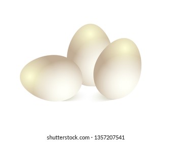 Chicken eggs on white background