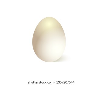 Chicken eggs on white background
