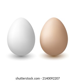 Huevos de pollo de fondo blanco. Ilustración vectorial.