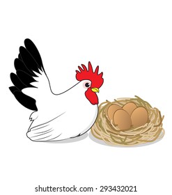 chicken and eggs on white background