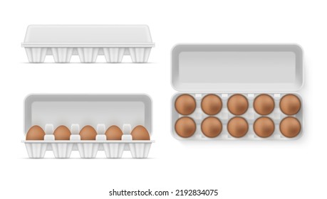 Chicken eggs in open and closed box set realistic 3d icon vector illustration. Organic farmer eco friendly product in package fresh traditional protein breakfast in container. Whole raw eggshell food