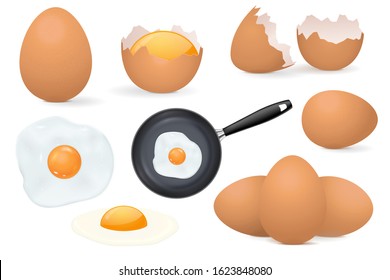 Chicken eggs. Raw and fried eggs, whole and broken shell. Vector 3d illustration isolated on white background