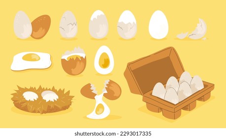 Chicken eggs set. Shell, yolk and protein, cardboard packaging with natural and organic products. Tasty food and healthy ingredients. Cartoon flat vector illustrations isolated on yellow background