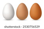 Chicken eggs. Set of vector 3D eggs, isolated on a white background.