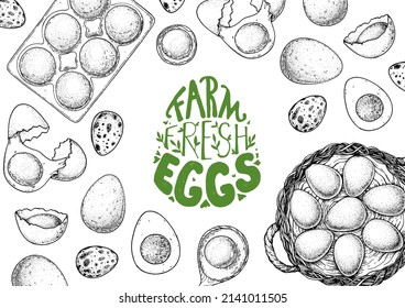 Chicken eggs sketch. Hand drawn illustration. Farm eggs design template. Vector illustration. Healthy food. Package design elements.