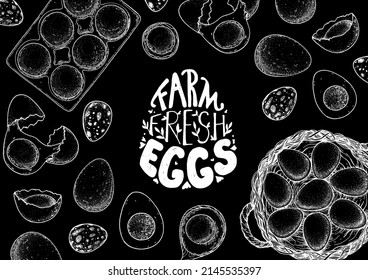 Chicken eggs sketch. Hand drawn illustration. Farm eggs design template. Vector illustration. Healthy food. Package design elements.