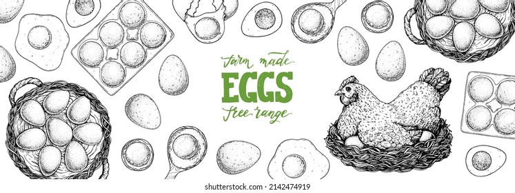 Chicken eggs sketch. Hen sitting in the nest. Hand drawn illustration. Farm eggs design template. Vector illustration. Healthy food. Package design elements.