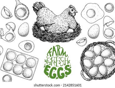 Chicken eggs sketch. Hen sitting in the nest. Hand drawn illustration. Farm eggs design template. Vector illustration. Healthy food. Package design elements.