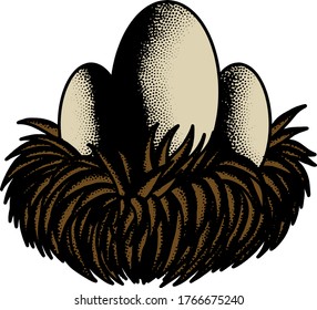 Chicken eggs are still in the nest