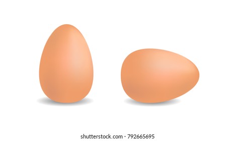 Chicken eggs. Two brown eggs isolated on white background.