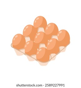 Chicken Eggs - vector isolated on white. Eggs food product in container.