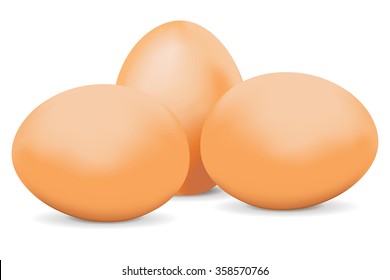 Chicken eggs. Vector isolated on white background.