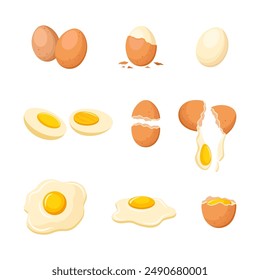 Chicken eggs vector set isolated in white