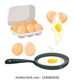 chicken eggs, whole, broken, cooking eggs, vector set. vector illustration
