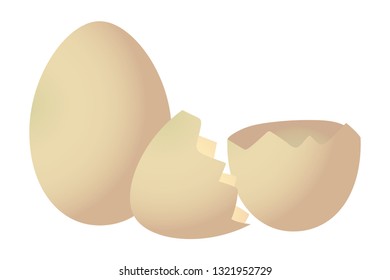 chicken eggshell cartoon
