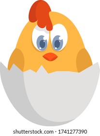 Pollo en concha de huevo , ilustración, vector sobre fondo blanco