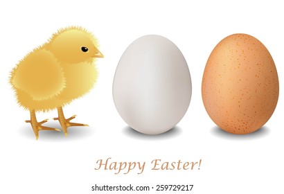 Chicken and eggshen