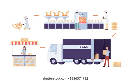 Chicken factory infographics. Agricultural breeding, growth and feeding of poultry for eggs. Production, packaging and delivery of natural fresh farm food. Vector illustrations.