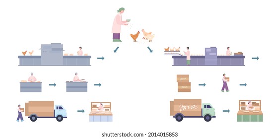 Chicken factory for production eggs and meat. Breeding, growth of poultry and package, delivery of natural fresh farm food. Flat cartoon vector illustration isolated on white