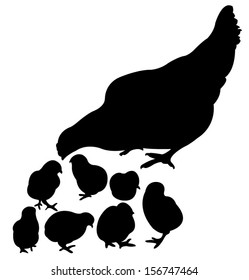 chicken family