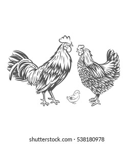 Chicken family. Badges and design elements for the chicken manufacturing.