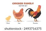 Chicken family with chick, hen, and rooster vector illustration set. Baby, female, and male chickens cartoon clipart in flat style. Farm animals concept